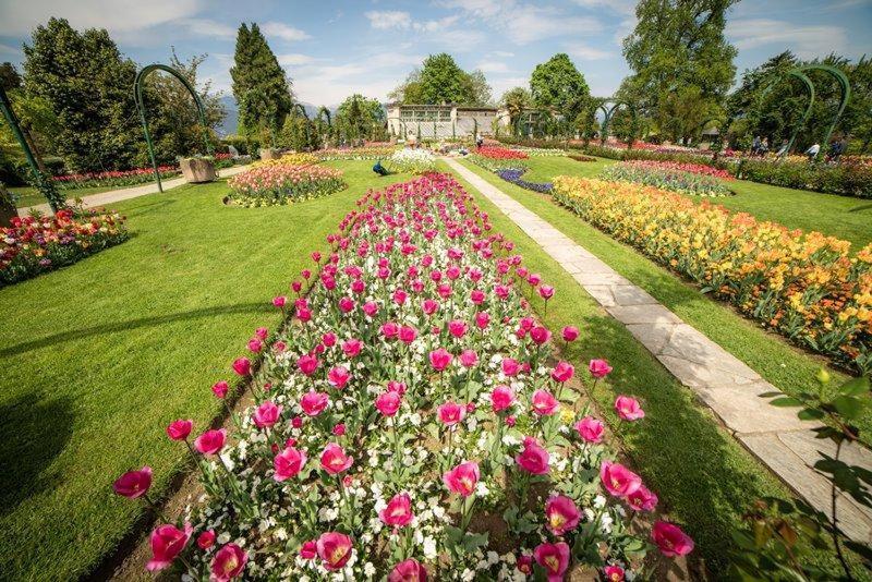 Villetta Primavera Verbania Ngoại thất bức ảnh