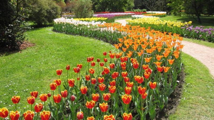 Villetta Primavera Verbania Ngoại thất bức ảnh